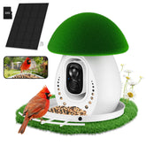 Birdevo metal bird feeder with camera