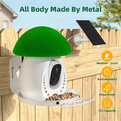 Birdevo metal bird feeder with camera