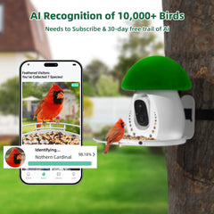 Birdevo metal bird feeder with camera