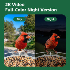 Birdevo metal bird feeder with camera