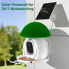 Birdevo metal bird feeder with camera