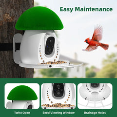 Birdevo metal bird feeder with camera
